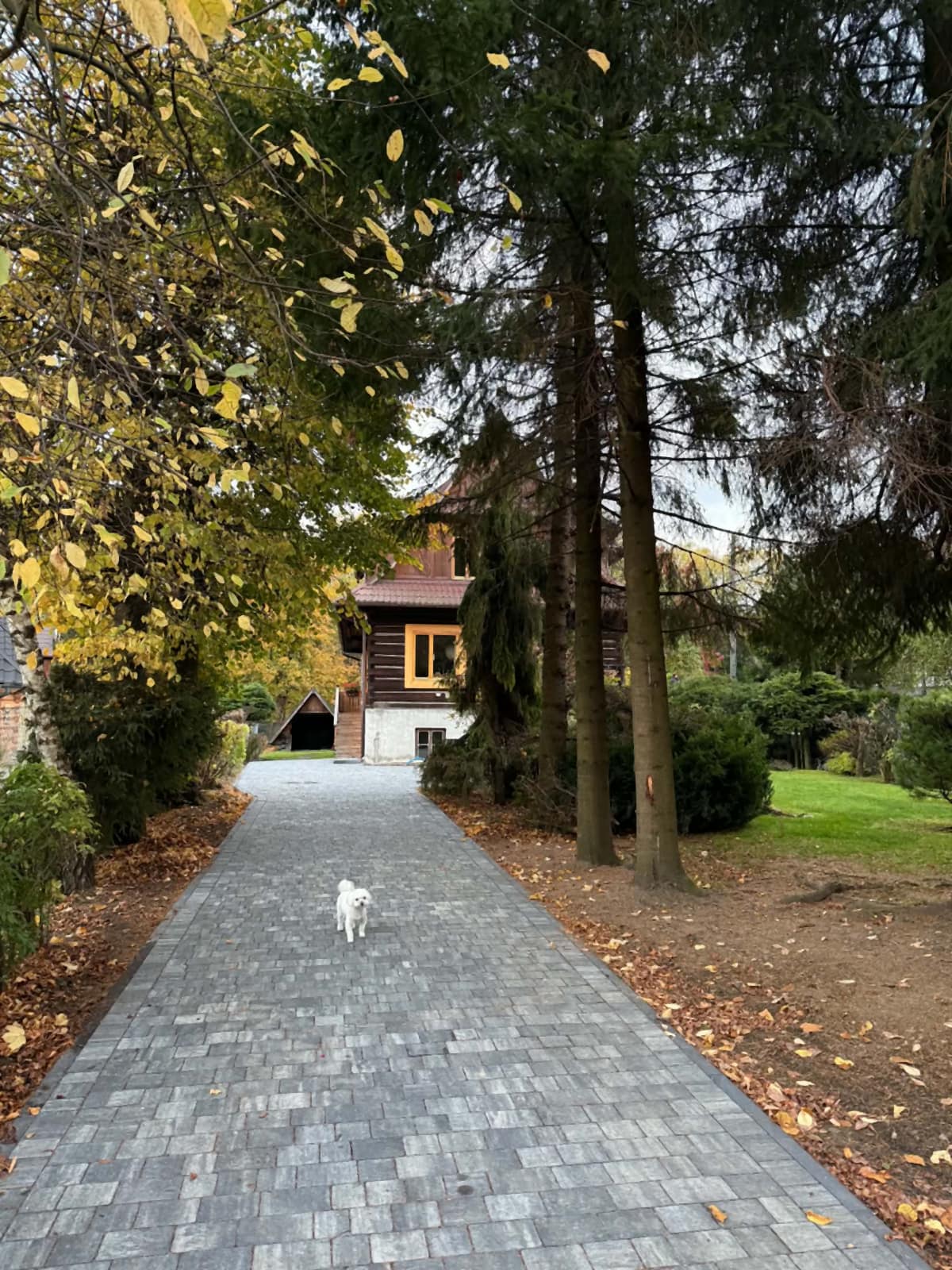 The drive through the garden to the log house on Szkolna Street